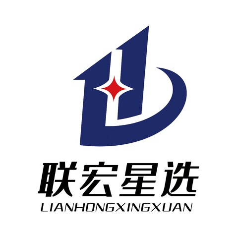 联宏星选logo设计