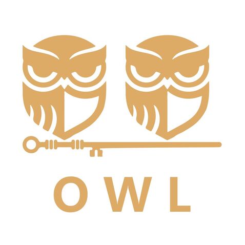 OWLlogo设计