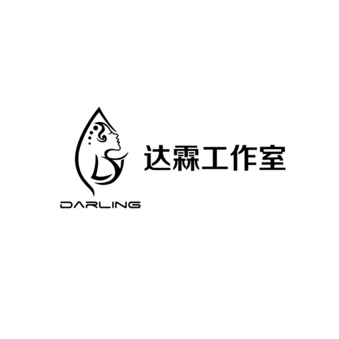 达霖工作室logo设计