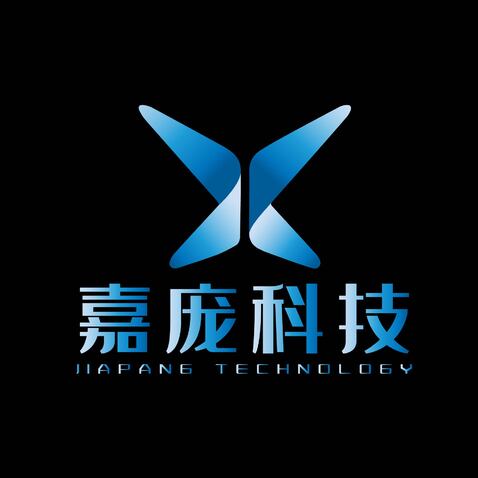 嘉庞科技logo设计