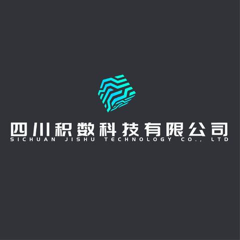 四川积数科技有限公司logo设计