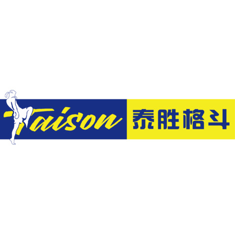 泰胜格斗logo设计