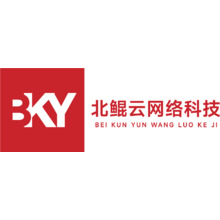 北鲲云网络科技