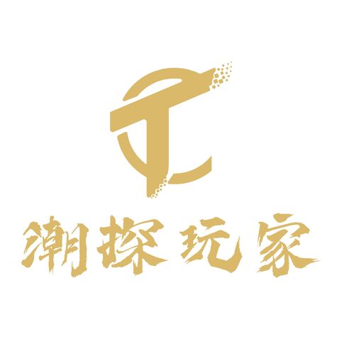 潮探玩家logo设计