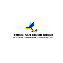 飞鱼出海西安网络科技有限公司
