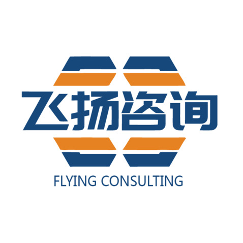 飞扬咨询logo设计