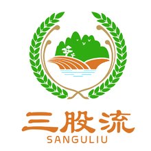 三股流