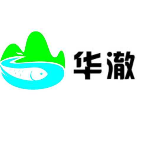 华澈logo设计