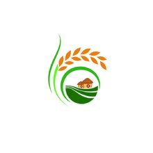 盈仓粮油