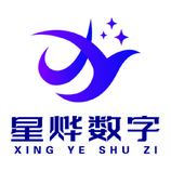 星烨数字