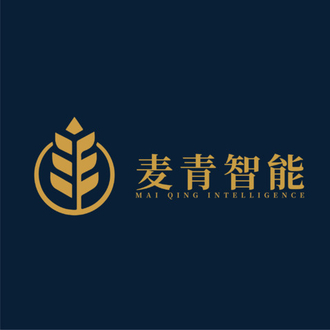 麦青科技logo设计