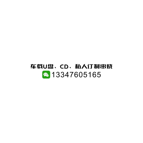 车载U盘、CD、私人订制串烧logo设计