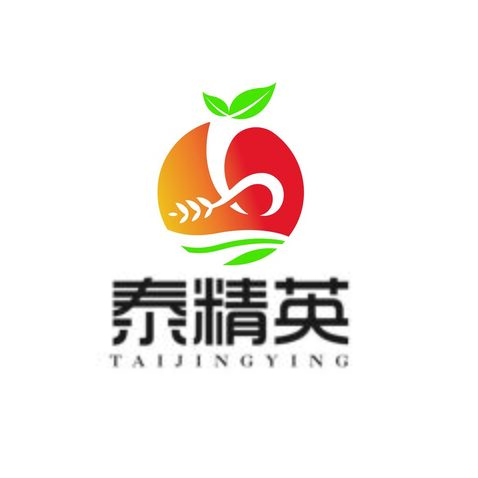 泰精英logo设计