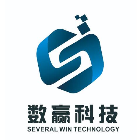 数赢科技logo设计