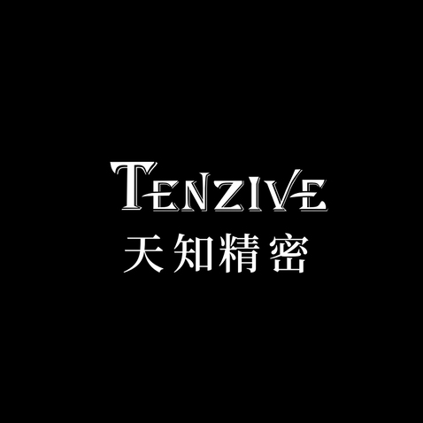 天知精密logo设计