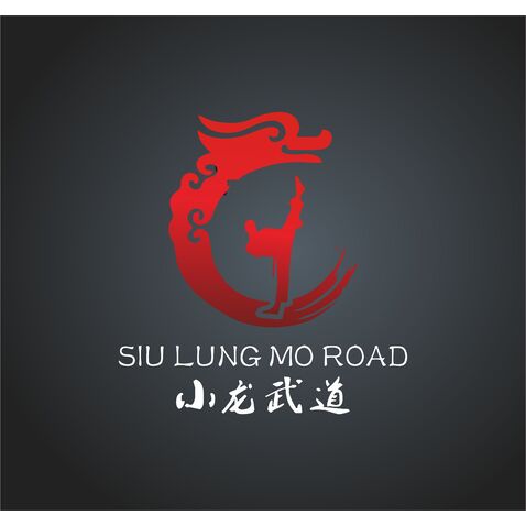 小龙武道就行logo设计