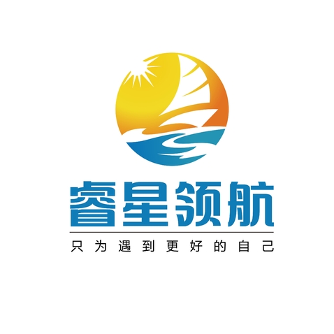 睿星领航logo设计