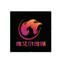 弗艾尔传媒