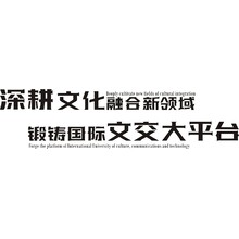 深耕文化融合新领域，锻铸国际文交大平台