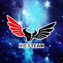 小红牛team