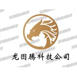 龙图腾科技公司