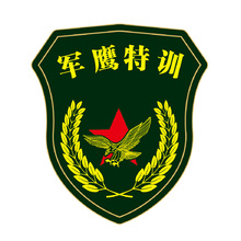 军鹰特训