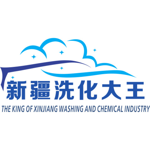 新疆洗化大王logo设计