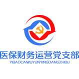 醫保財務運營黨支部logo設計