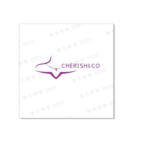 cherilogo设计