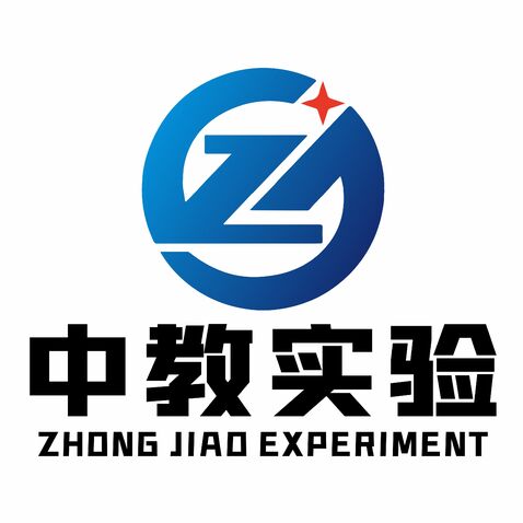 中教实验logo设计