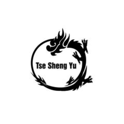 TSE SHENG YUlogo设计