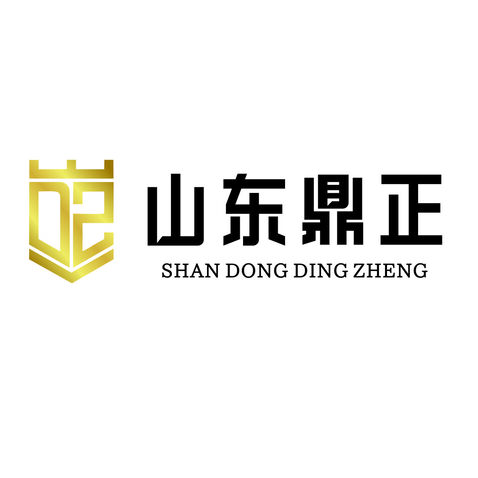 山东鼎正logo设计