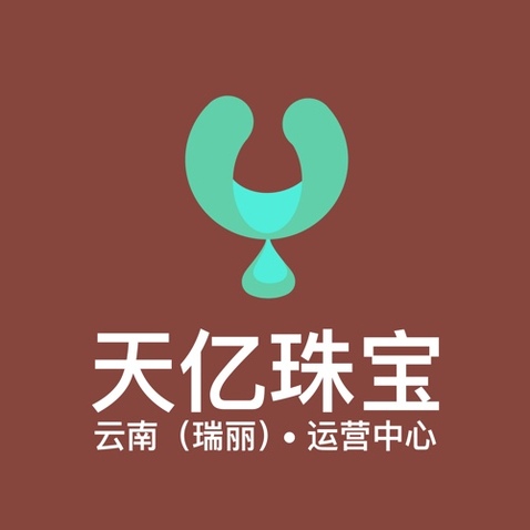 天亿珠宝logo设计