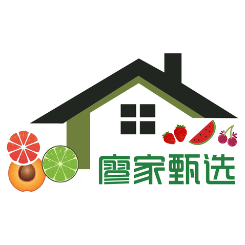 廖家甄选logo设计