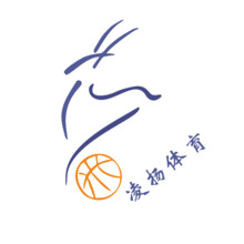 凌扬体育