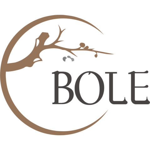 BOLElogo设计