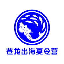 苍龙出海夏令营