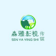 内蒙古森雅影视传媒有限公司LOGO_画板 1