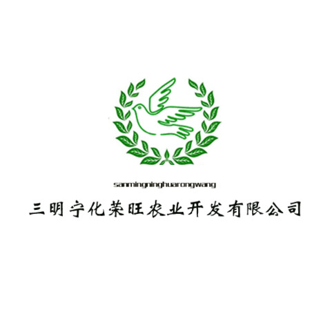 三名宁化logo设计