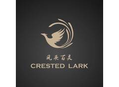 凤头百灵Crested Lark