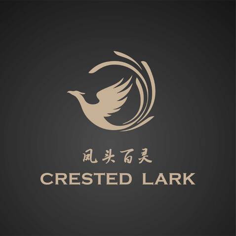 凤头百灵Crested Larklogo设计