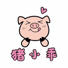 猪小乖