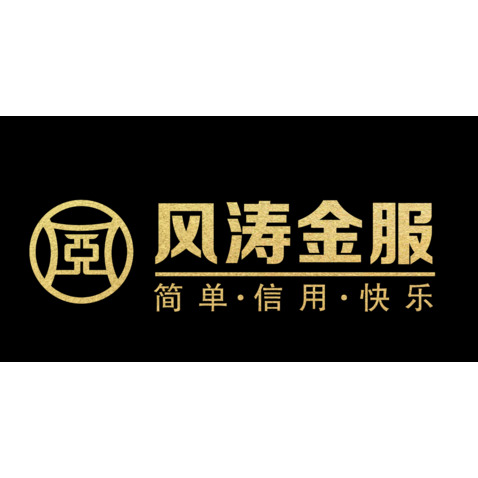 风涛金服logo设计