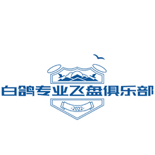 飞盘运动
