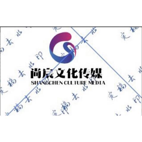 尚辰logo设计