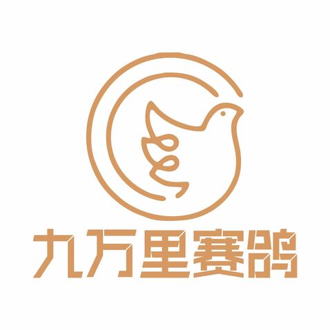 九万里赛鸽logo设计