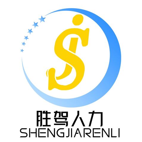 胜驾人力logo设计