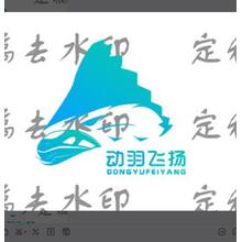 动羽飞扬