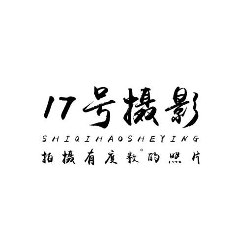 17号摄影logo设计