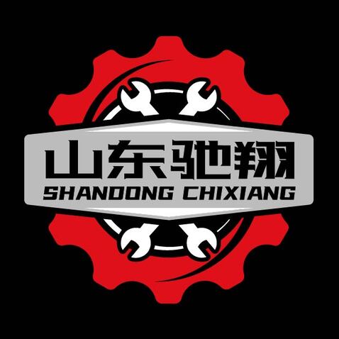 山东驰翔logo设计